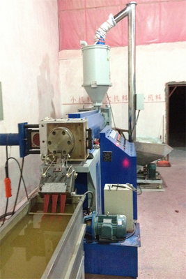 La chaîne de production en plastique intelligente de courroie bande d'ANIMAL FAMILIER de vert faisant la machine a adapté aux besoins du client